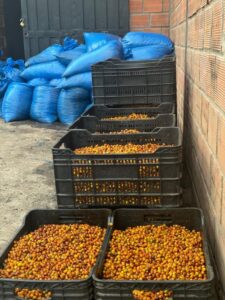 El Paraiso